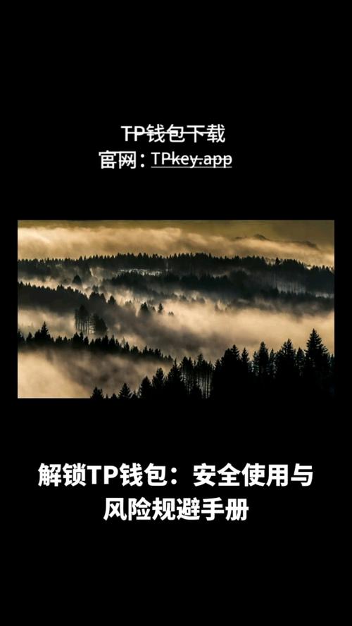 2024年全面分析TP钱包官网下载安全性及风险保障措施