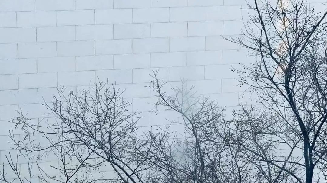 数字货币与消费者忠诚度的关系_消费忠诚度是什么意思_粉丝忠诚消费回馈系统